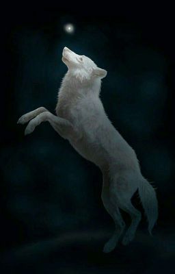 Легенда о сыне графском и белом волке 