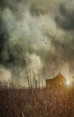 Дети пшеничного поля