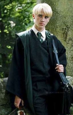 Неожиданная встреча