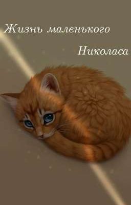 Жизнь маленького Николаса
