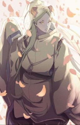 Т/и и Момошики