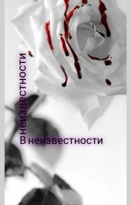 В неизвестности 