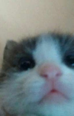 Море где я пытался нащупать жизнь