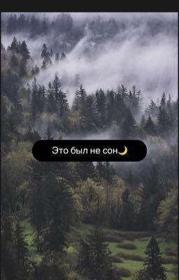 «Мои сны🌙»