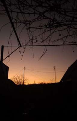 Борьба За Жизнь