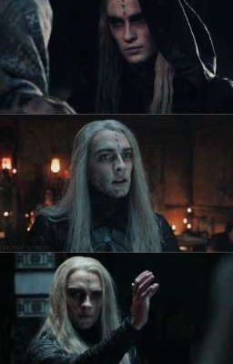 Living in the shadows