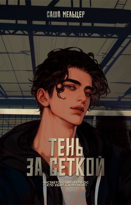 Тень за сеткой