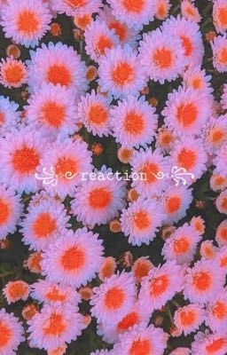 |✰༺𝕣𝕖𝕒𝕔𝕥𝕚𝕠𝕟༻✰| реакция(●'◡'●)ﾉ