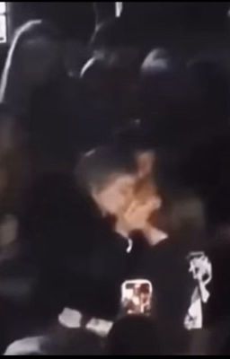 не смотря ни на что 