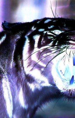 Ночной Дым.