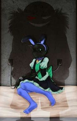 ¿Debo seguir adelante?