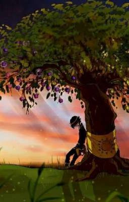 правила ухода за санями