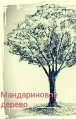 Мандариновое дерево