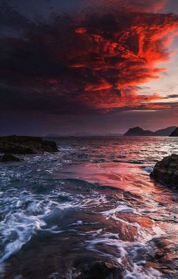 - Мой омега. - Мой альфа.