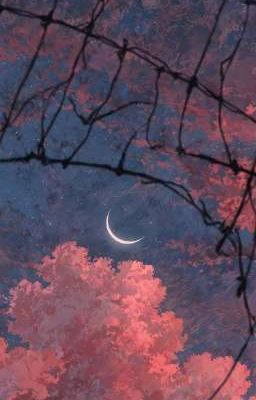 Путешествие в 19веке