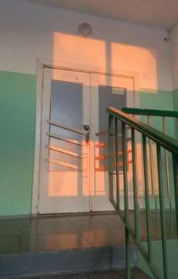 Любовный треугольник ⚠️💗