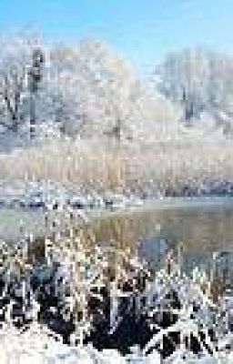 Одним январским днём