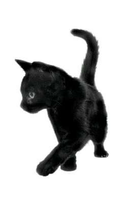 Новая страсть любви)