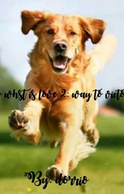 Так что же такое любовь 2: Путь к победе