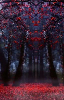 "Я обещаю, больше тебя никто не тронет"