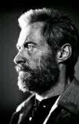 Академия оборотней 