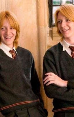 Шалости Фреда Уизли 