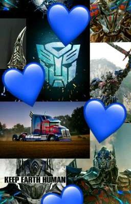 Бета и Спарк на базе Н.Е.С.Т