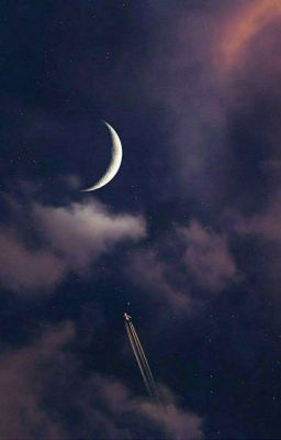 безумные теории