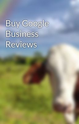 Buy Google Business Reviews