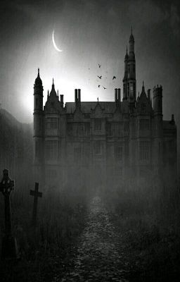 Академия вампиров: две стихии 