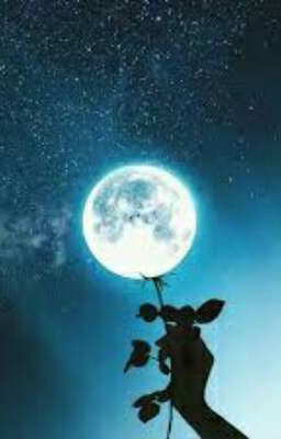 Плохая девочка 