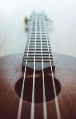 Тексты Песен