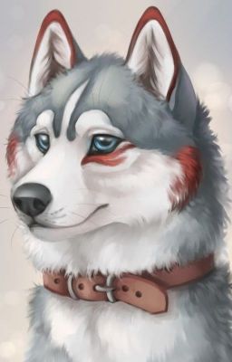 Пес на привязи