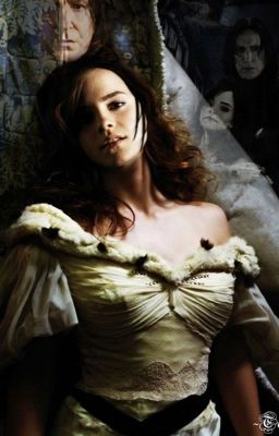 45 дней (продолжение)