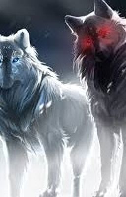 Близнецы, или как жить с сарказмом