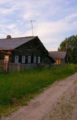 Поездка в деревню 