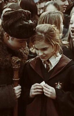 Жизнь на 4 курсе