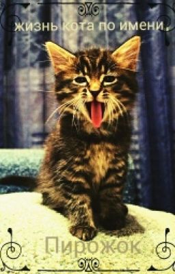 ежедневник кота по имени Пирожок
