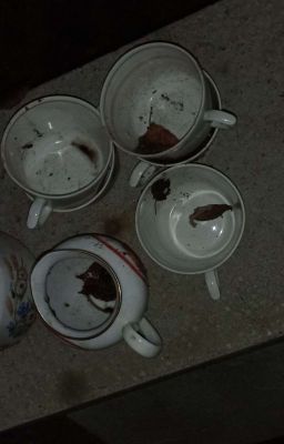 Насколько реальна цветущая сирень?