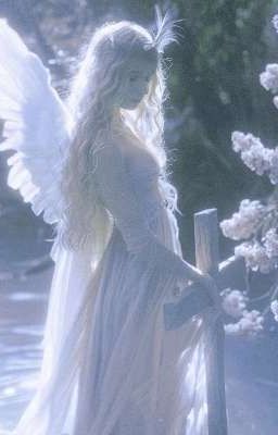 Тайна белоснежных крыльев