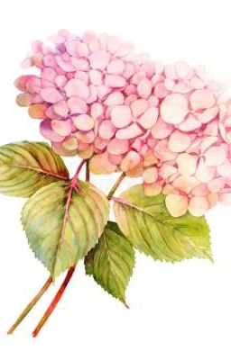 Гортензии. Дело Руперта Грина [ Заморожен] 