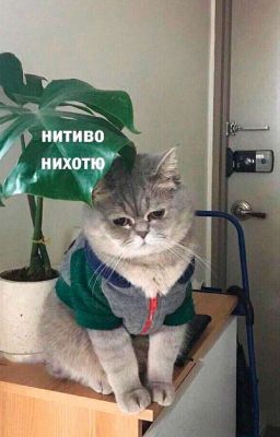 Литература 