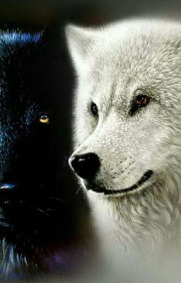 Звери меняются[1]