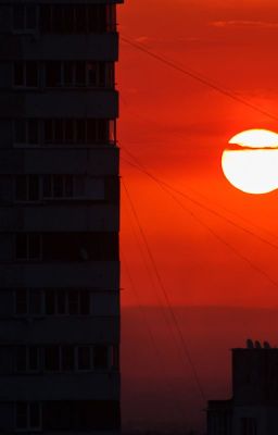 Последний Расцвет