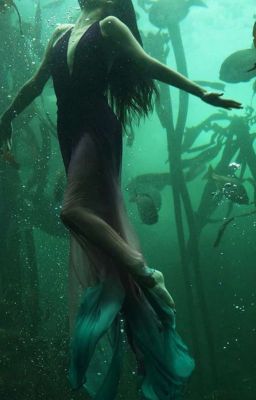 Океан привязанности