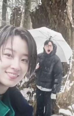 мартышка и обезьянка