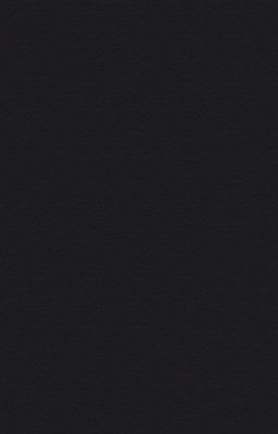 Много всего