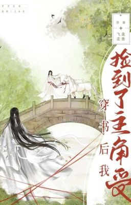 После переселения в книгу я подобрал главного героя шоу