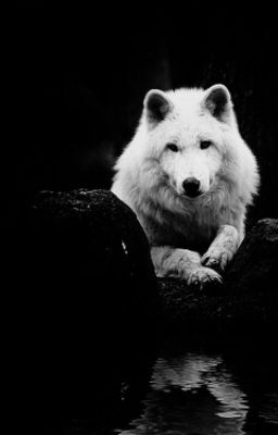 Пленница волка