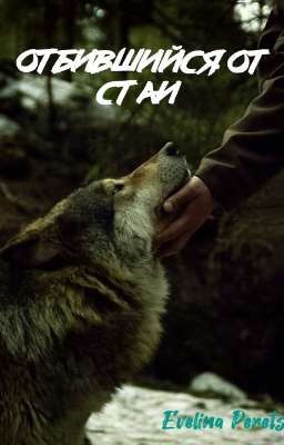 Отбившийся от стаи 